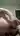 Oil,s