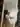 Oil,s