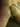Hd17let