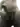 Stasaktbolt