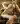 Anatoly123