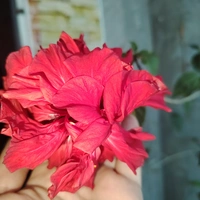 image1730964883.jpg