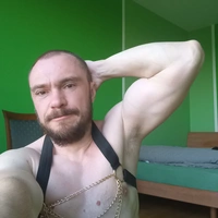 ViT84